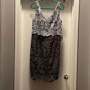 Adrianna Papell Colorblock Guipure Lace Dress